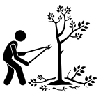 Expert Tree Trimming